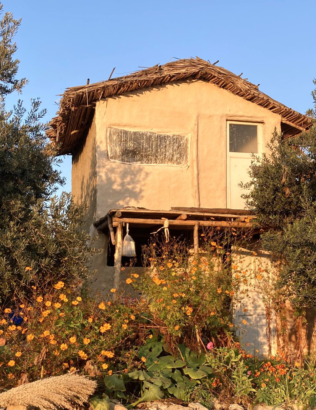 Mehmet Tülüce doğal ev yapımı doğal dış cephe boya Hamiyet Bayram