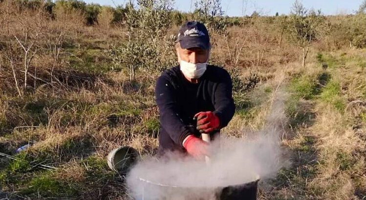 bitki hastalıkları gülleci bulamacı mehmet tülüce