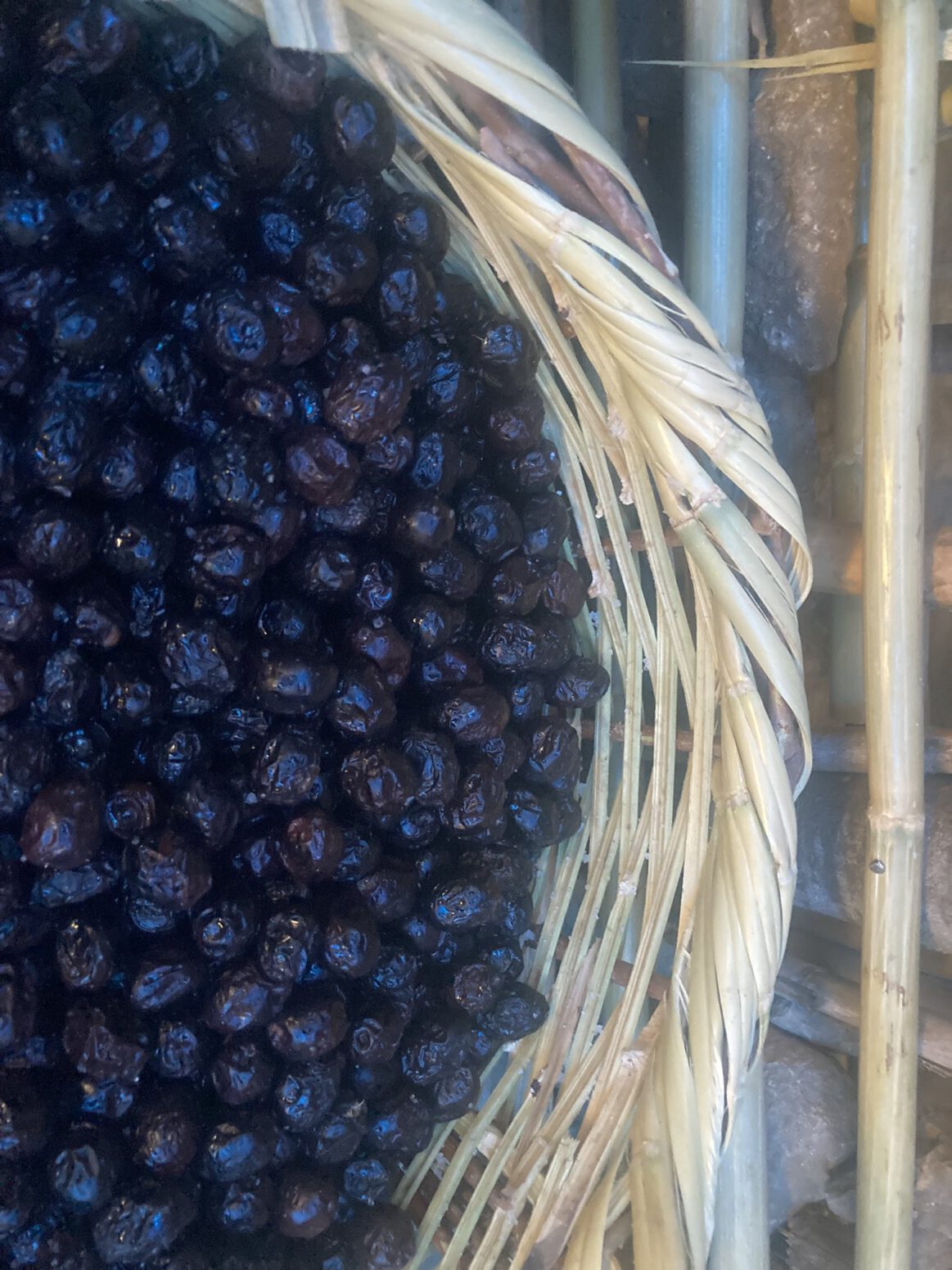 kuru tuzlama zeytin sele mehmet tülüce doğal tarım hamiyet bayram