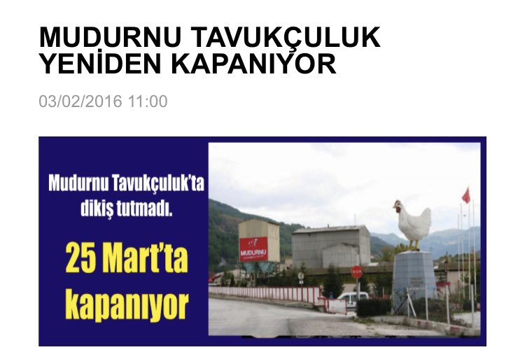 doğal hayvancılık mehmet tülüce tavukçuluk hamiyet bayram