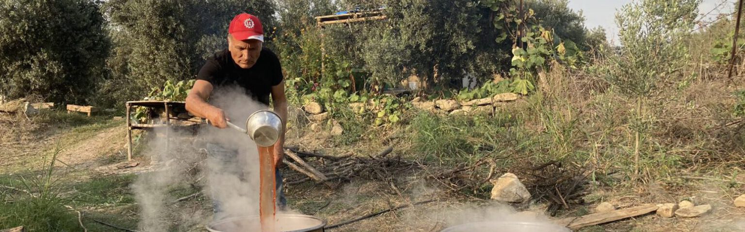 Mehmet Tülüce Hamiyet Bayram doğal yaşam doğal tarım nar ekşisi