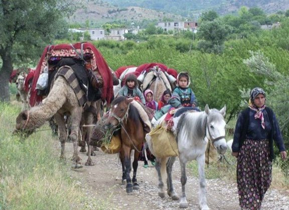 doğal hayvancılık mehmet tülüce hamiyet bayram