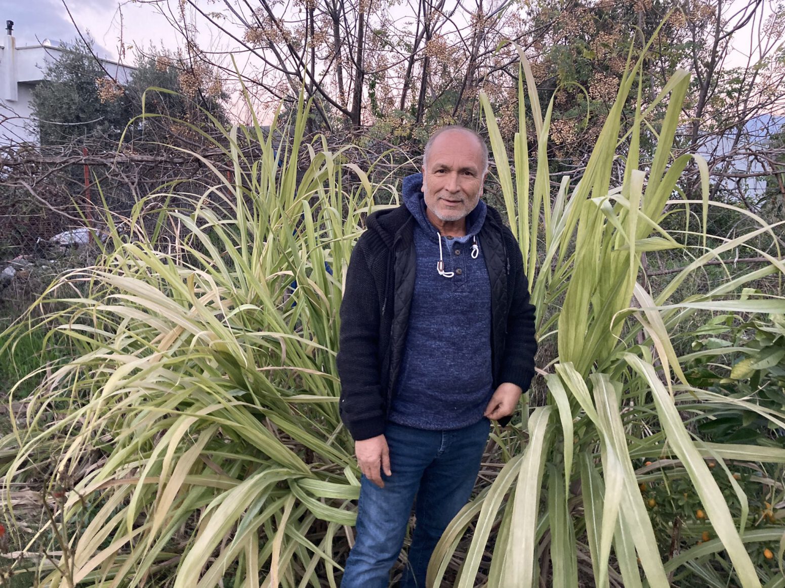 mehmet tülüce doğal tarım narenciye bahçesi hamiyet bayram