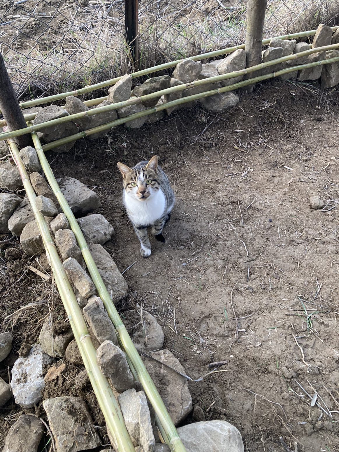 doğal ev yapımı temel doğal yaşam