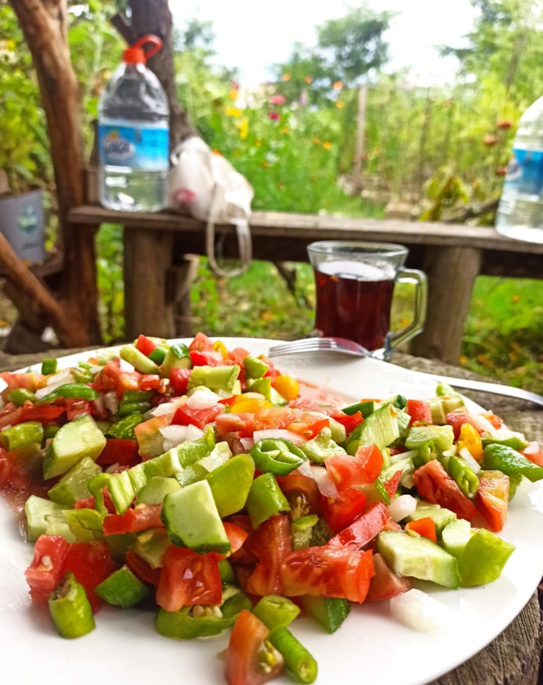 çoban salata domates salatası doğal gıda tarım beslenme